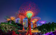 Garden Rhapsody Gardens By The Bay Light Show